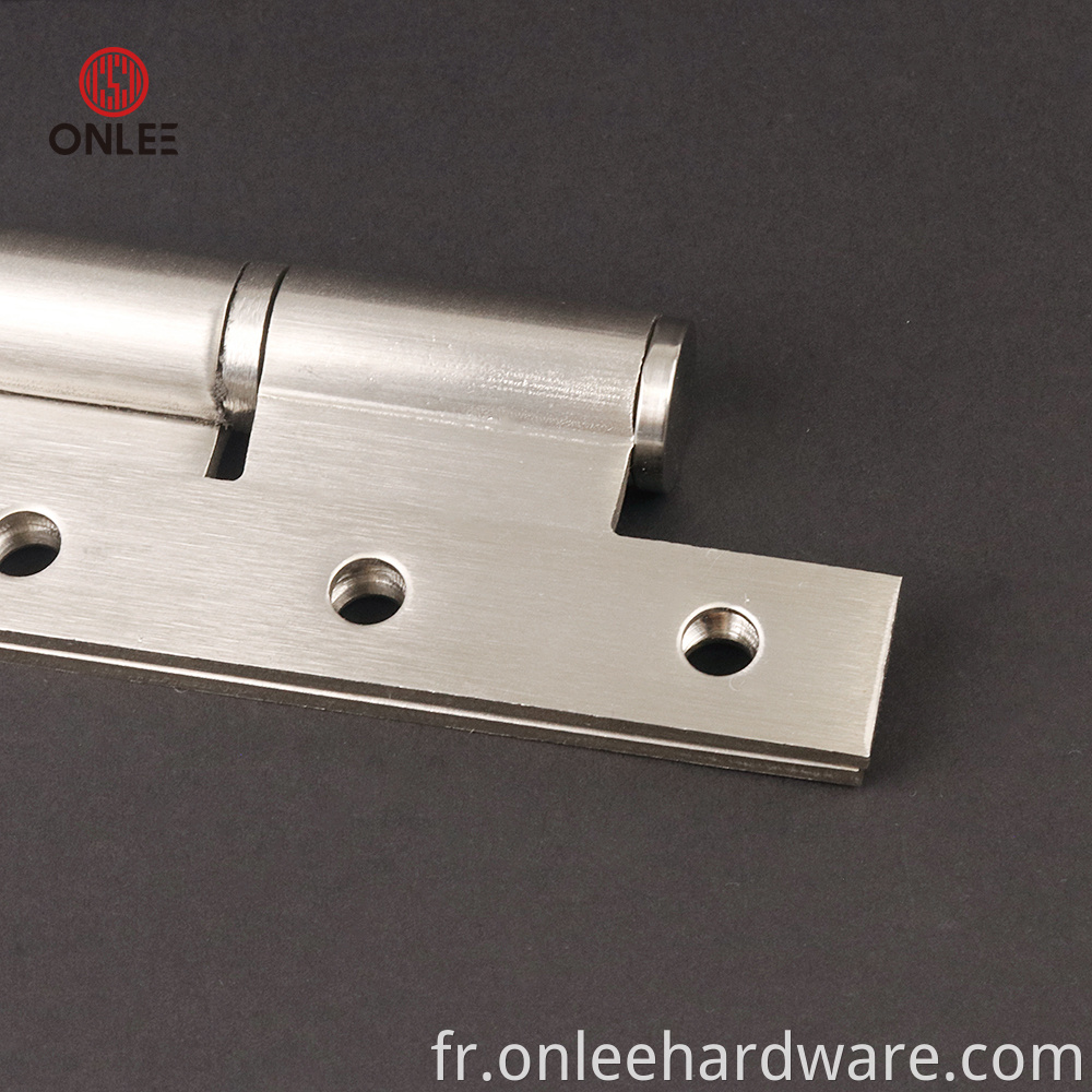 Door Hinge Ac